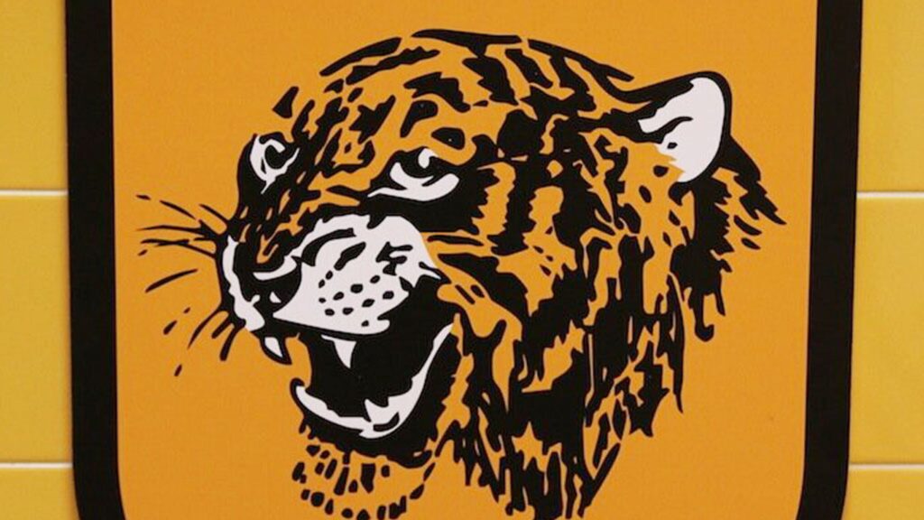 Hull City FC History